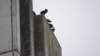 dsc00777_small.jpg