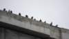 dsc00778_small.jpg