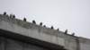 dsc00779_small.jpg