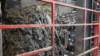 dsc00858_small.jpg