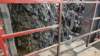 dsc00860_small.jpg