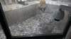 dsc00871_small.jpg