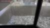 dsc00874_small.jpg