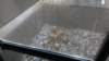 dsc00881_small.jpg