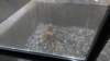 dsc00883_small.jpg