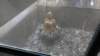 dsc00887_small.jpg