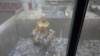 dsc00888_small.jpg