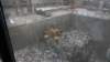 dsc00890_small.jpg