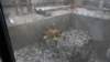 dsc00891_small.jpg
