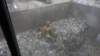 dsc00892_small.jpg