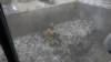 dsc00894_small.jpg