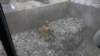 dsc00895_small.jpg