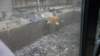 dsc00904_small.jpg