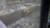 dsc00905_small.jpg