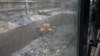 dsc00906_small.jpg