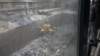 dsc00907_small.jpg