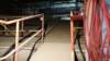 dsc00957_small.jpg