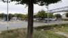 dsc01145_small.jpg