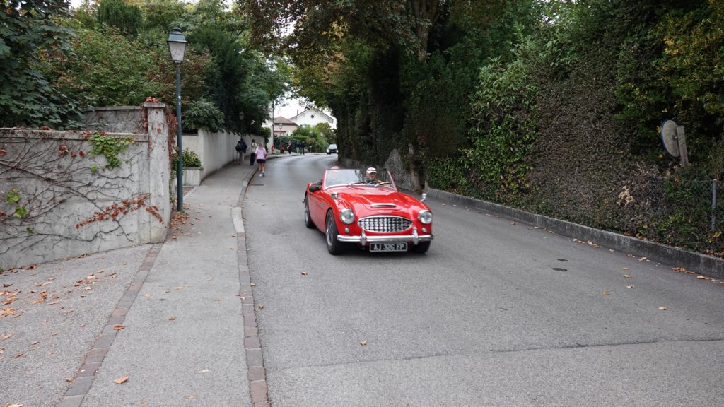 dsc04633.jpg