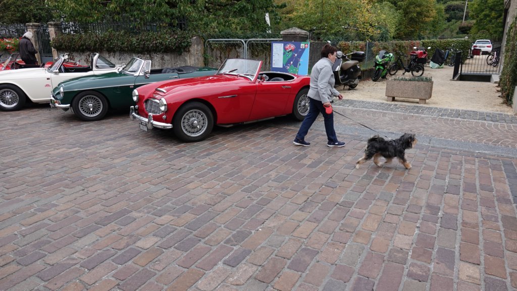 dsc04717.jpg