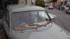 dsc04772_small.jpg