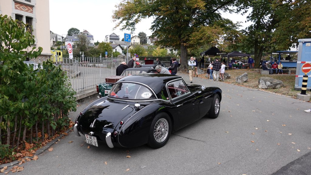 dsc05556.jpg