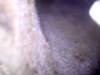mar20168_small.jpg