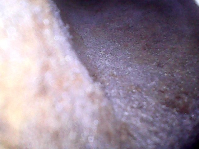 mar20169.jpg