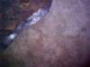 mar2016_small.jpg
