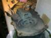image0887_small.jpg