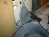 image0905_small.jpg