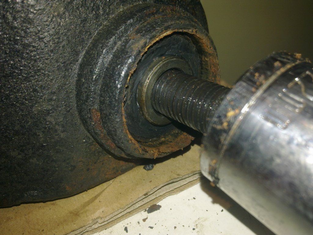 image2306.jpg