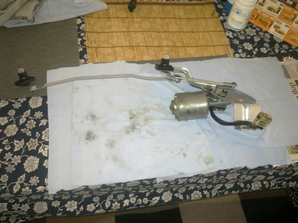 image3050.jpg