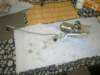 image3051_small.jpg