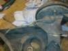 image3171_small.jpg