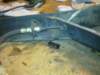 image3173_small.jpg