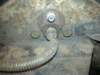 image3177_small.jpg