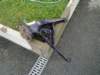 image3186_small.jpg