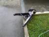 image3188_small.jpg