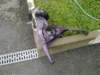 image3190_small.jpg