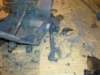 image3264_small.jpg