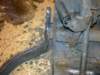 image3266_small.jpg