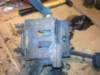 image3269_small.jpg