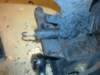 image3282_small.jpg