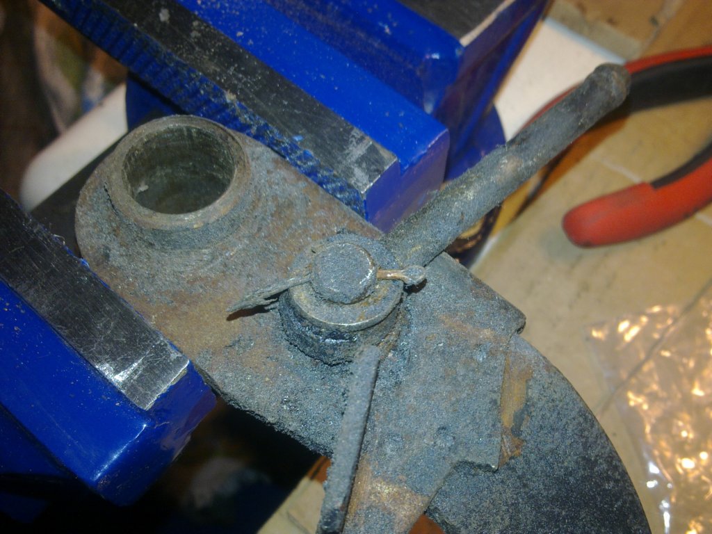 image3290.jpg