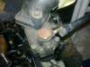 image3552_small.jpg