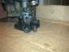 image3569_small.jpg