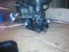 image3570_small.jpg