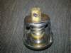 image3698_small.jpg