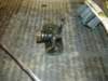 image3782_small.jpg